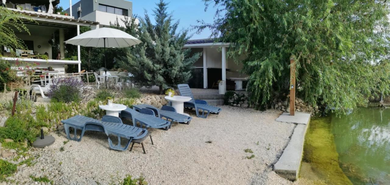 Vila Zuzette Hotel Constanta Exterior photo